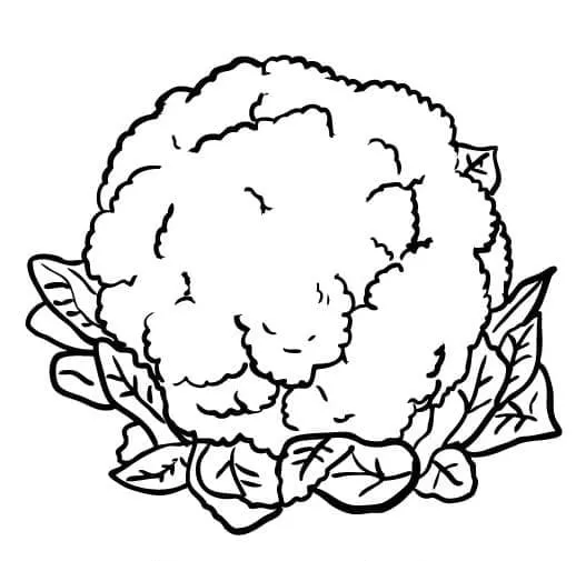 Chou Fleur 3